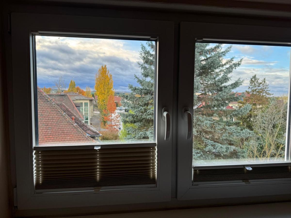 205 Qm "Traumtor" Mit Sauna, Whirlpool, Kamin Und 3 Terrassen Mit Blick In Die Boehmisch Saechsische Schweiz Dresda Exterior foto